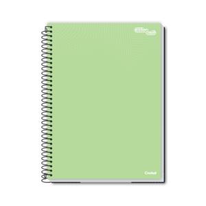 Caderno Essenciale 20 Matérias